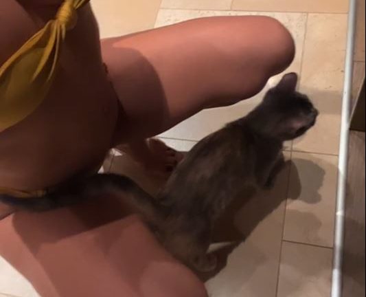 Serpil Cansiz Ifsa Sari Bikinili Mutfakta Yayin Videosu 67a656d27927e